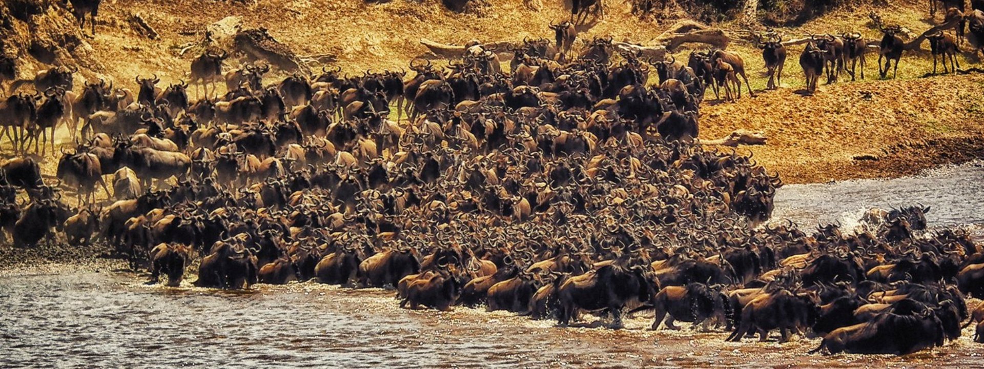 Serengeti Nationalpark