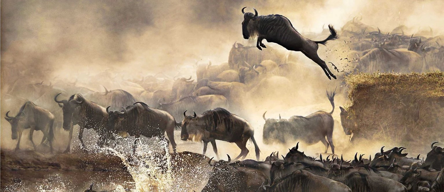 Serengeti Nationalpark