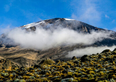 7-Day Kilimanjaro Lemosho Route