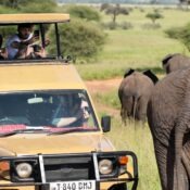11 Tage Tansania Safari & Sansibar
