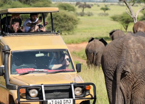 11 Tage Tansania Safari & Sansibar | Kilimandscharo Tansania