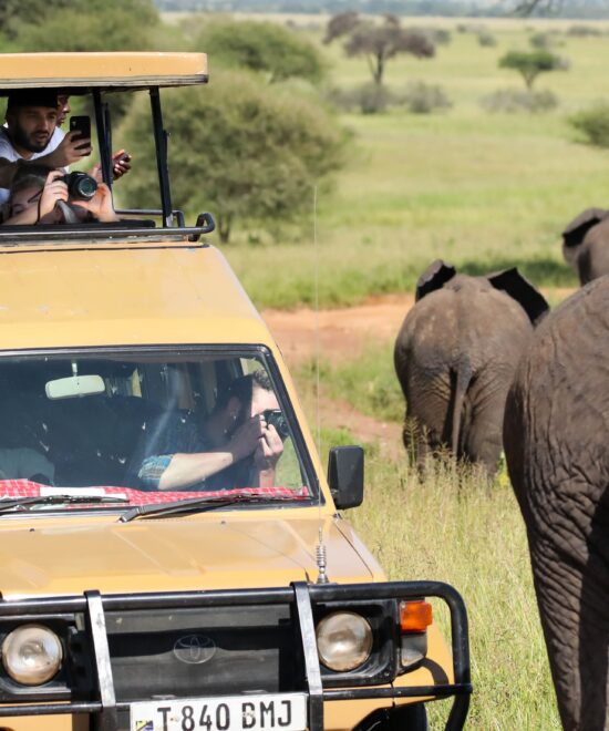 11 Tage Tansania Safari & Sansibar | Kilimandscharo Tansania