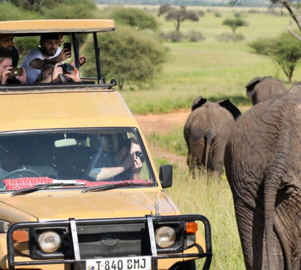 11 Tage Tansania Safari & Sansibar | Kilimandscharo Tansania