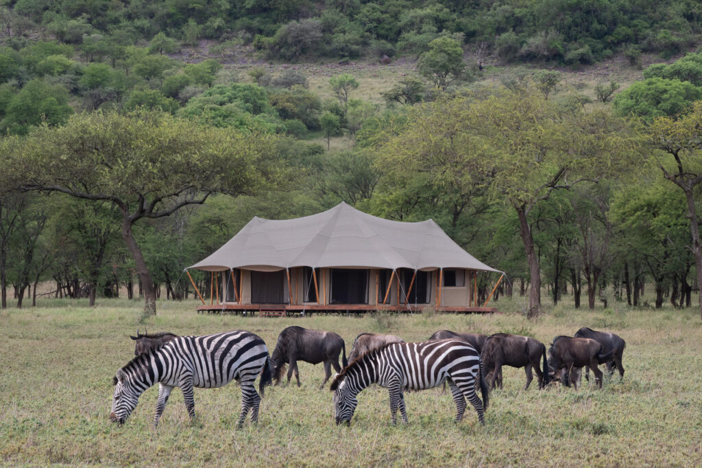 tansania nationalpark