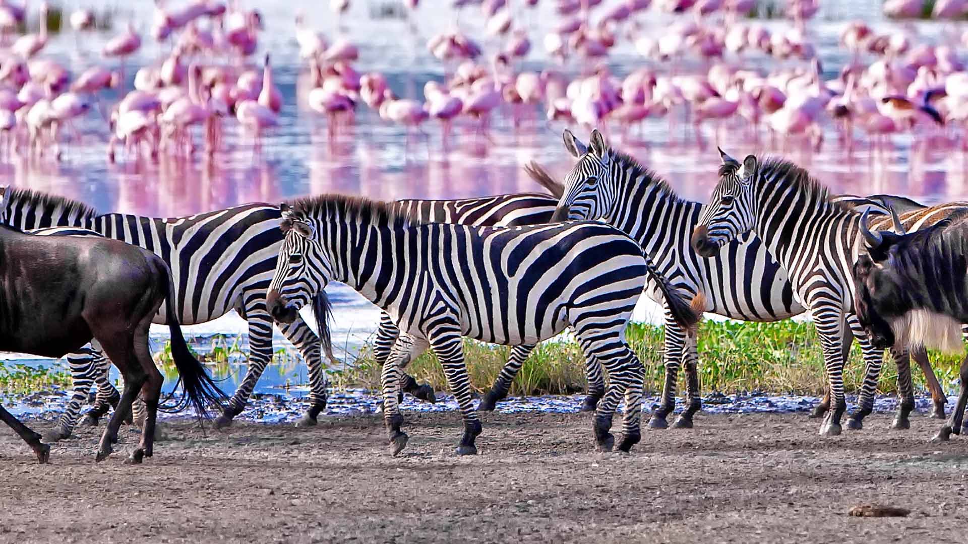 Top Destinations