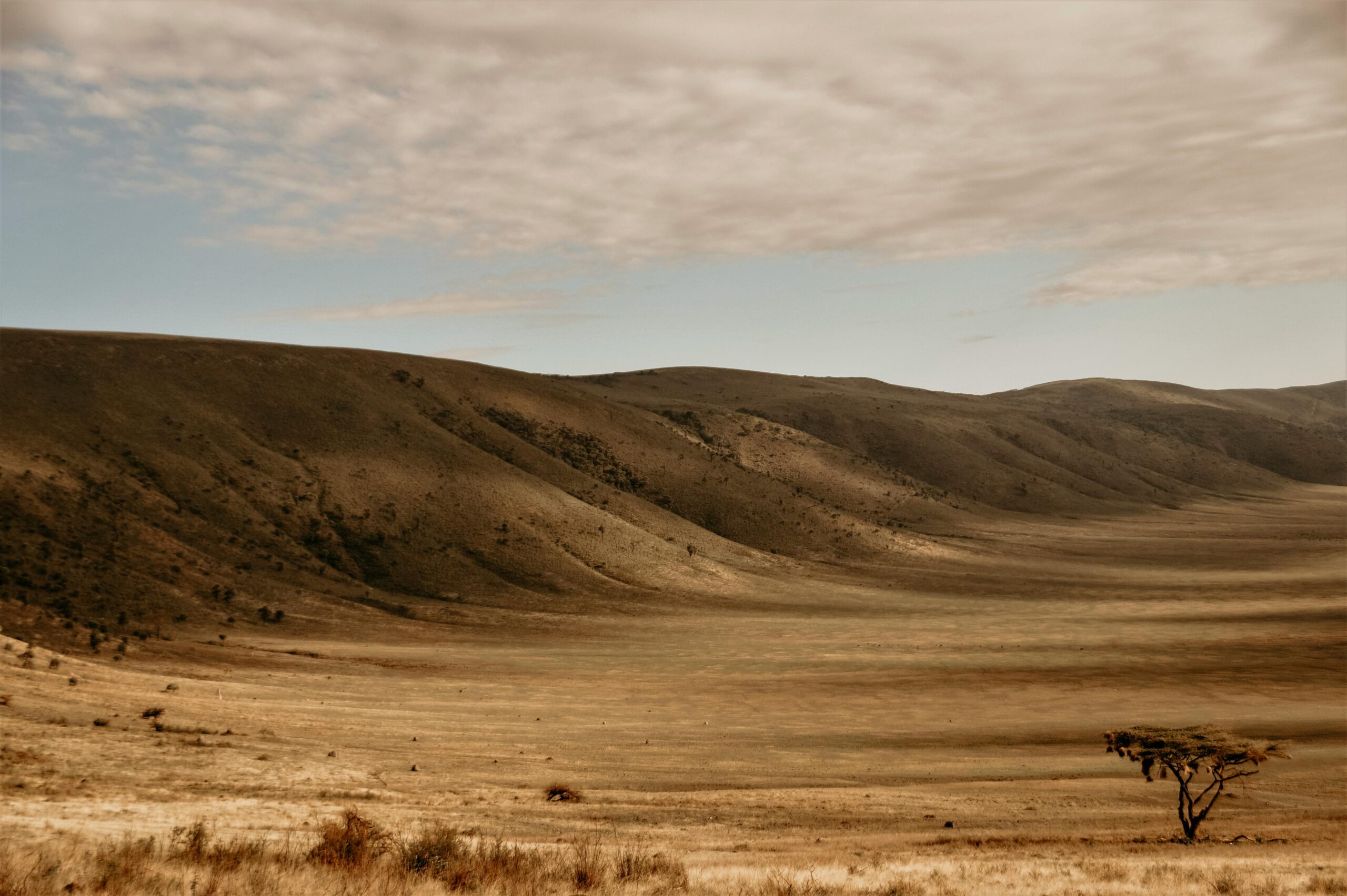 7 Tage Tansania Safari Serengeti Ngorongoro Tarangire