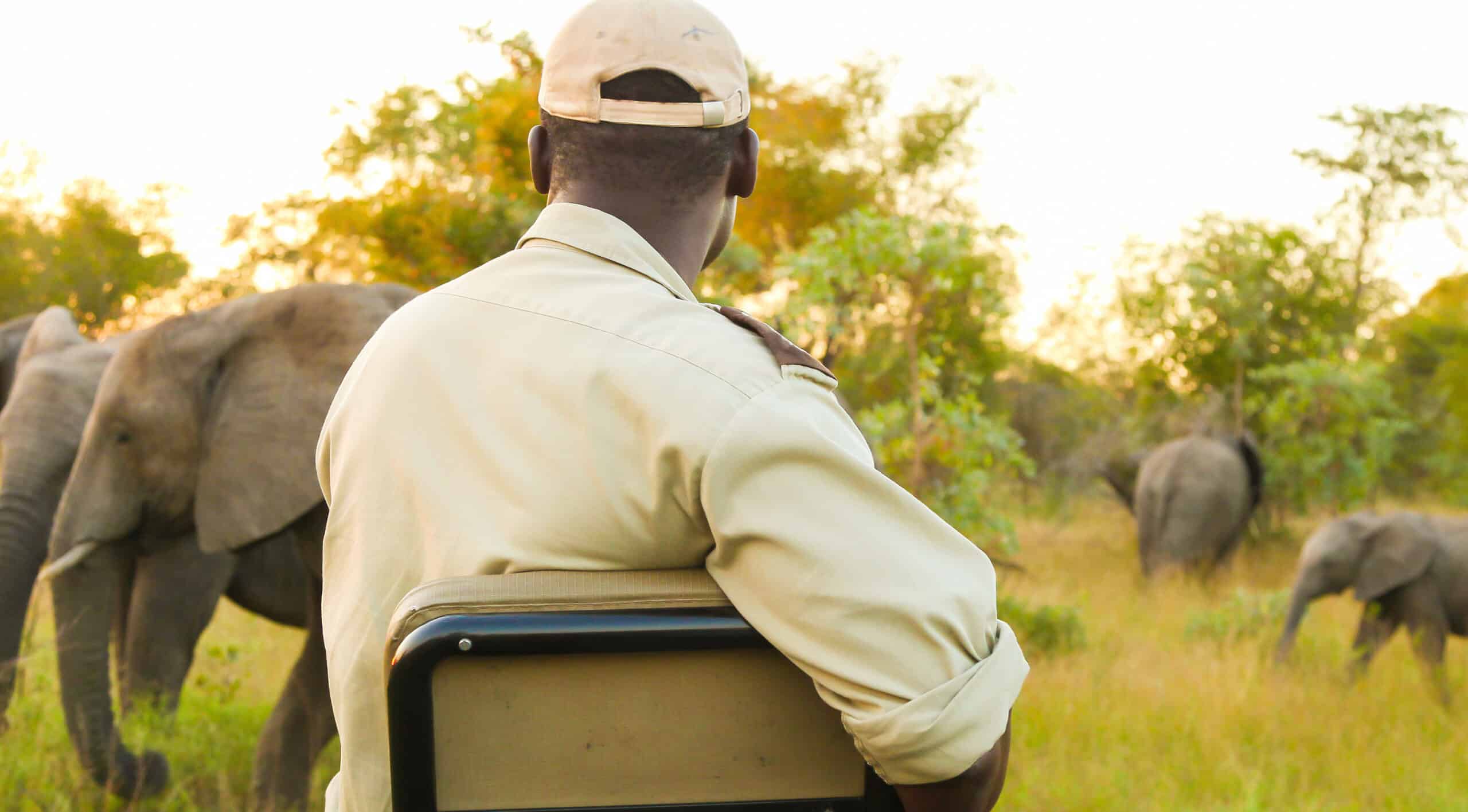 11 Tage Tansania Safari und Sansibar
