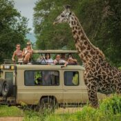 Serengeti Nationalpark