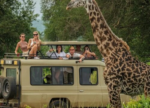 15 Tage Tansania Safari & Sansibar – Die perfekte Kombination aus Abenteuer und Erholung