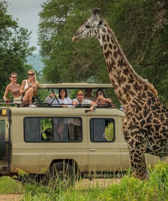 15 Tage Tansania Safari & Sansibar – Die perfekte Kombination aus Abenteuer und Erholung