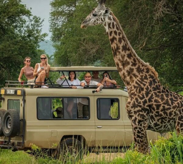 15 Tage Tansania Safari & Sansibar – Die perfekte Kombination aus Abenteuer und Erholung