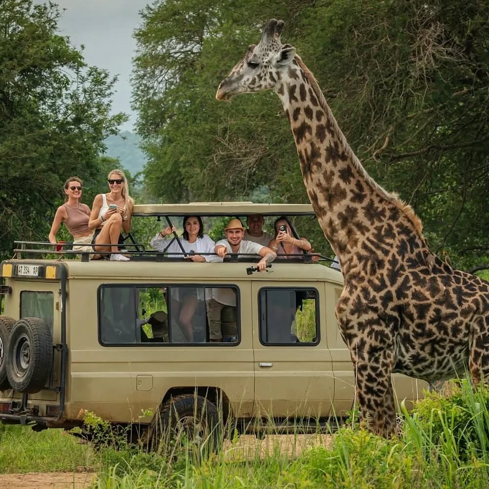 Serengeti Nationalpark
