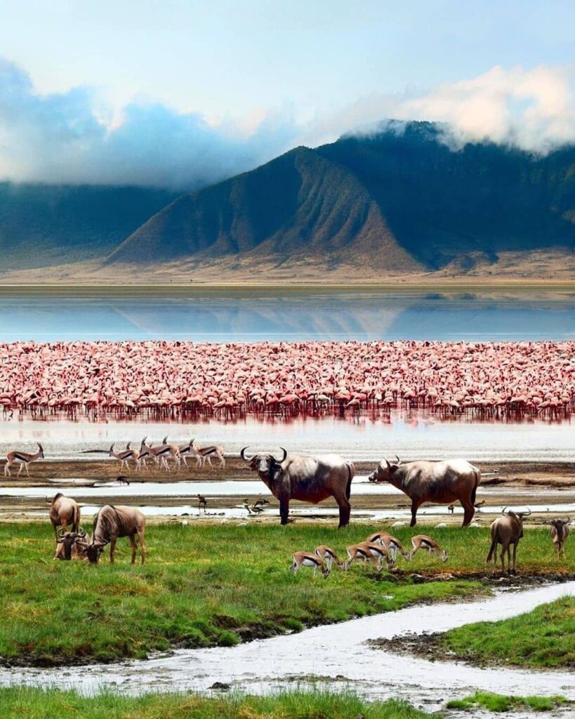 15 Tage Tansania Safari und Sansibar Rundreise
