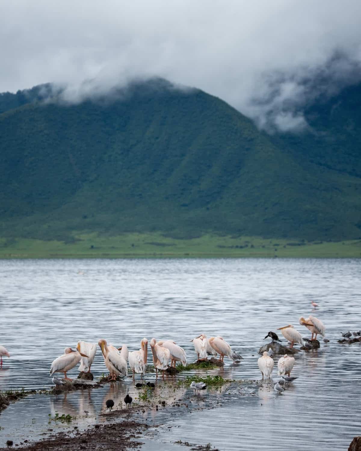 15 Tage Tansania Safari und Sansibar Rundreise