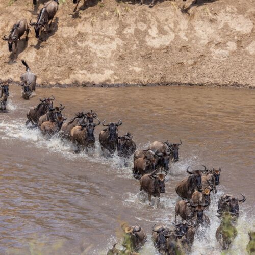 15 Tage Tansania Safari und Sansibar Rundreise