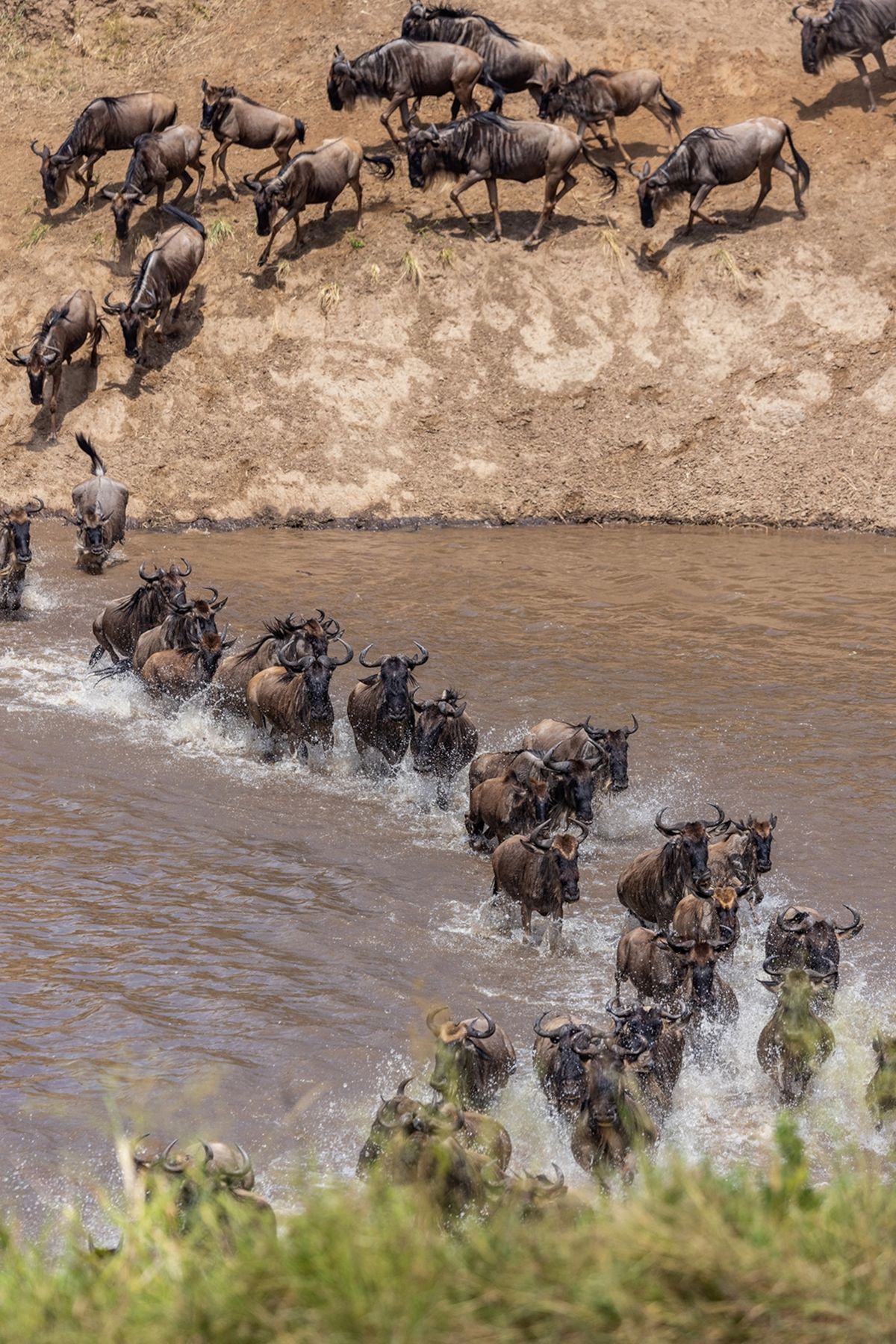 15 Tage Tansania Safari und Sansibar Rundreise